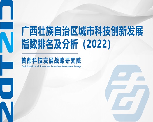 大粗鸡巴操大胖逼视频【成果发布】广西壮族自治区城市科技创新发展指数排名及分析（2022）